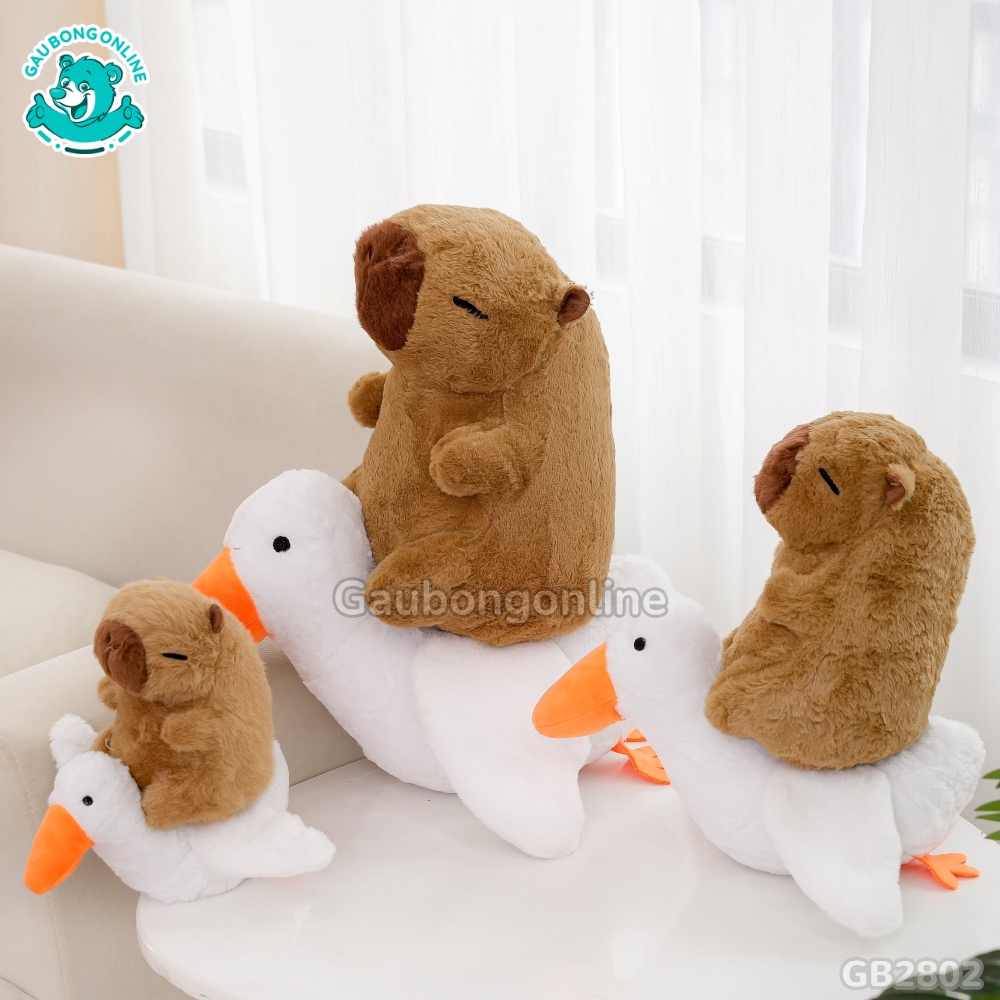 gấu tốt nghiệp capybara (sao chép) gấu tốt nghiệp capybara (sao chép)