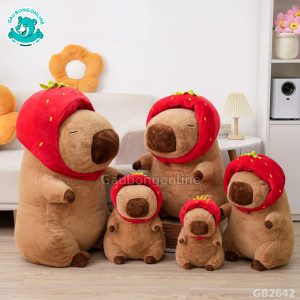 chuột capybara Đội mũ dâu