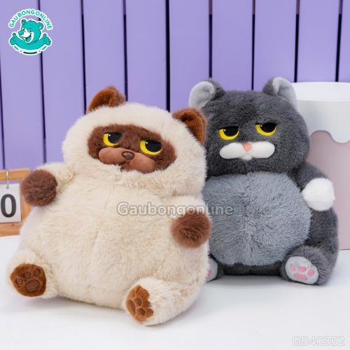 mèo bông bự mặt quạo mèo bông bự mặt quạo