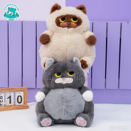 mèo bông bự mặt quạo mèo bông bự mặt quạo