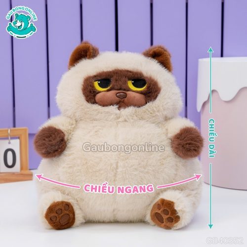 mèo bông bự mặt quạo mèo bông bự mặt quạo