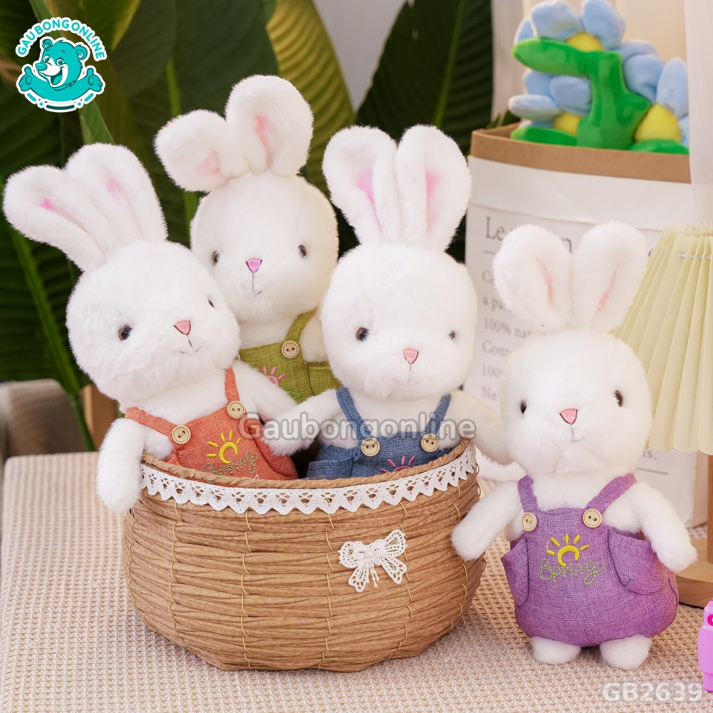 thỏ bông Áo choàng (sao chép) thỏ bông Áo choàng (sao chép)