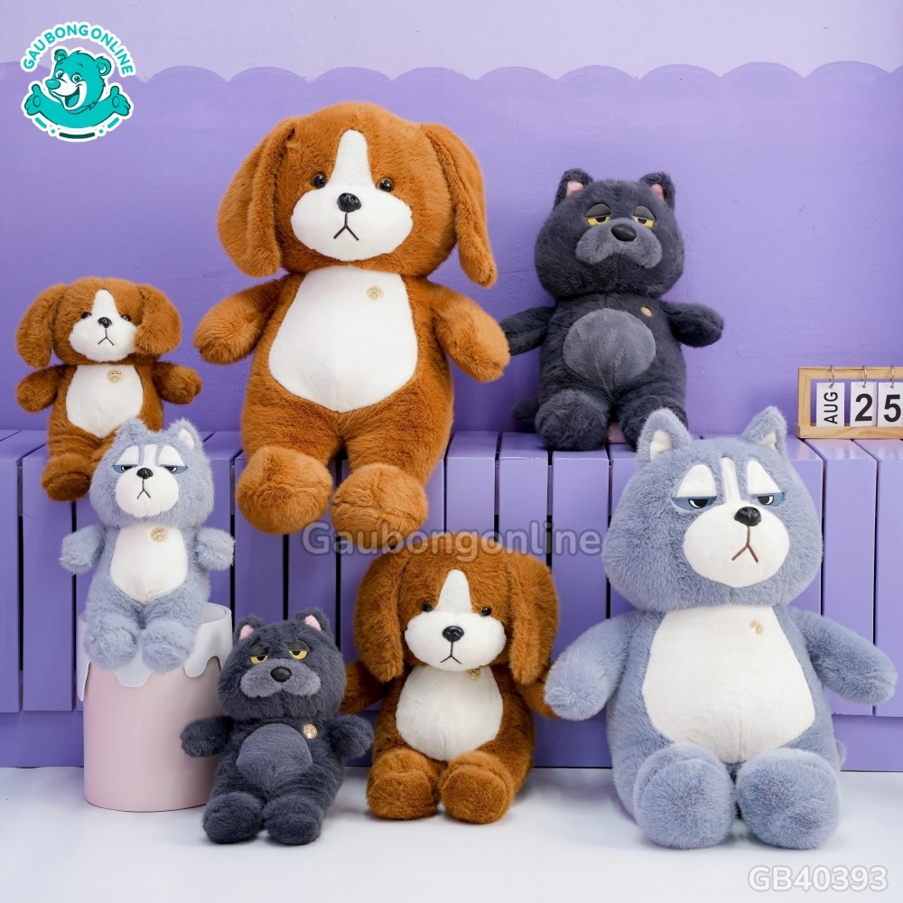 pulses from organic farm pulses from organic farm