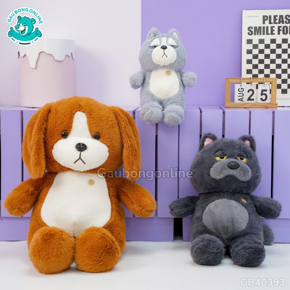 pulses from organic farm pulses from organic farm